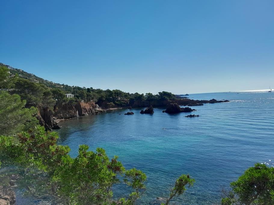 Charmant Studio Lumineux Avec Parking Prive Saint-Raphaël Екстериор снимка