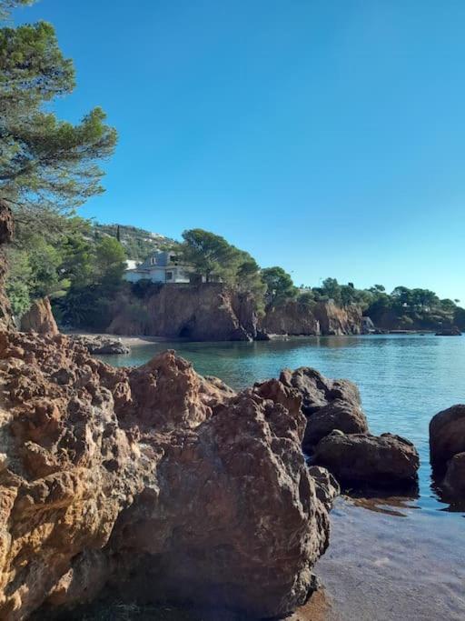 Charmant Studio Lumineux Avec Parking Prive Saint-Raphaël Екстериор снимка